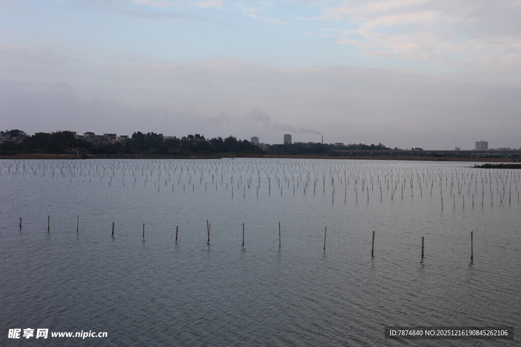 宁静湖面与远处天际线