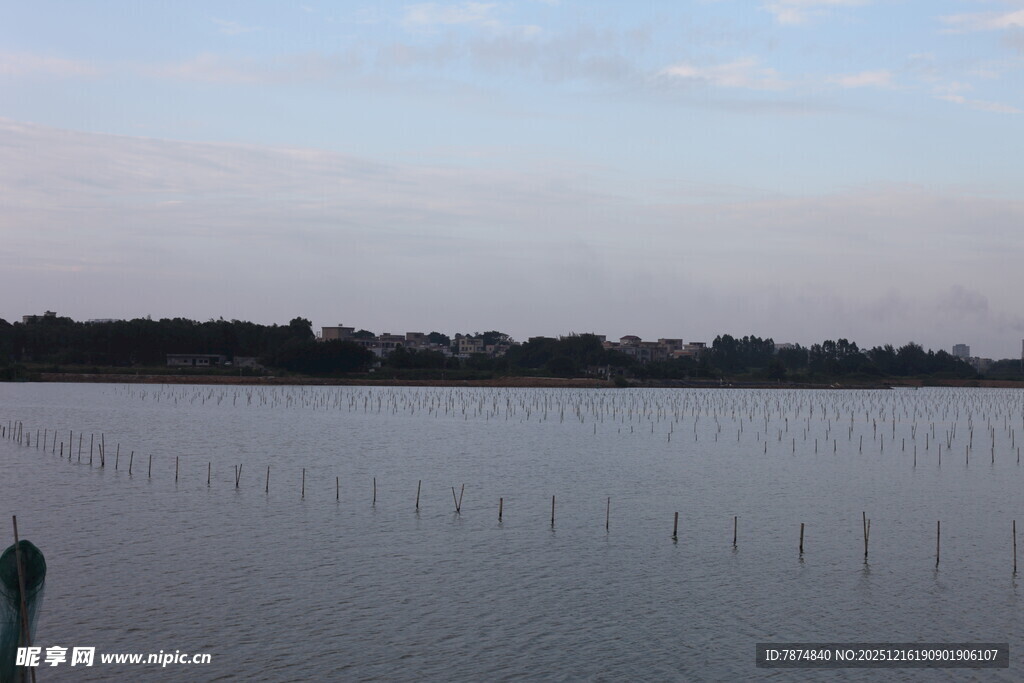 宁静湖面与远处林木景观