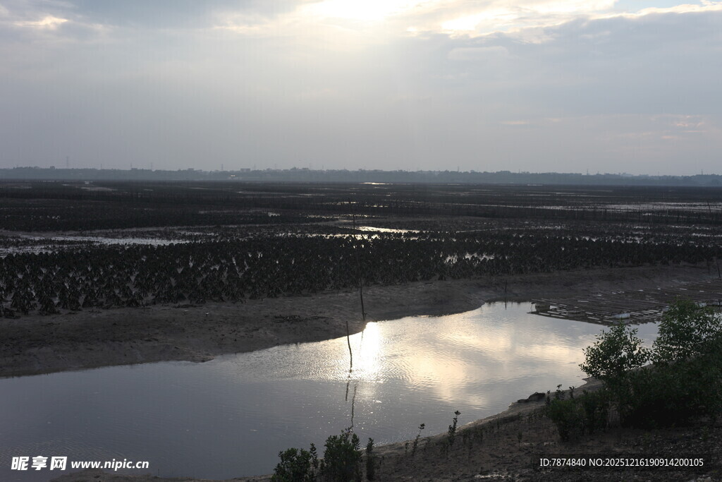 夕阳下的宁静河畔风光