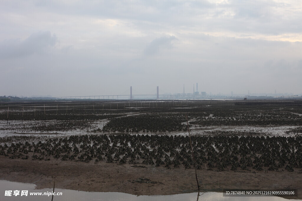 滩涂养殖景观