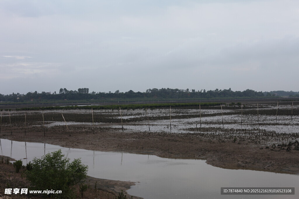 湿地景观 展现自然风貌