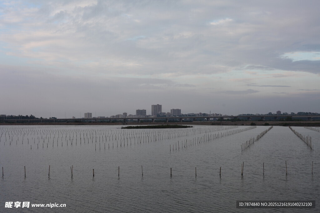 湖畔城市远景 宁静风光