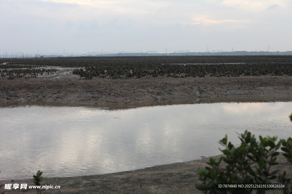 湖畔独行者的静谧时刻