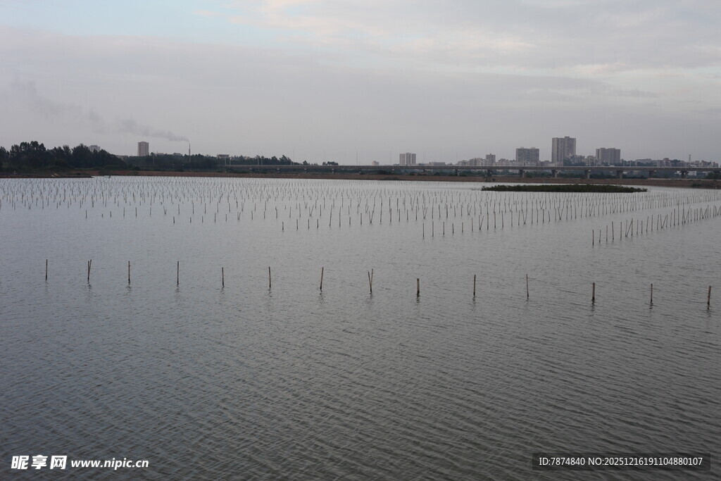 平静湖面与远处城市景观