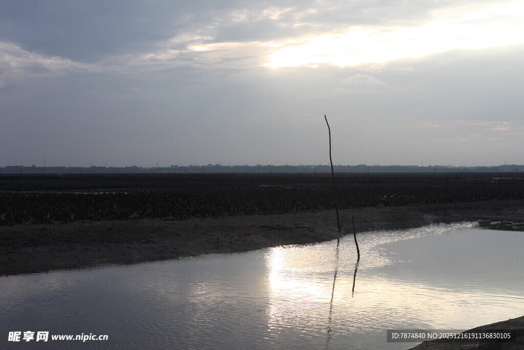 夕阳下的静谧水面
