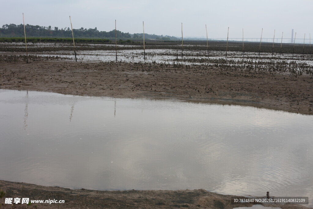 水田风光 静谧乡村景致
