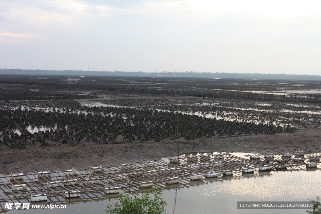 海上养殖场景