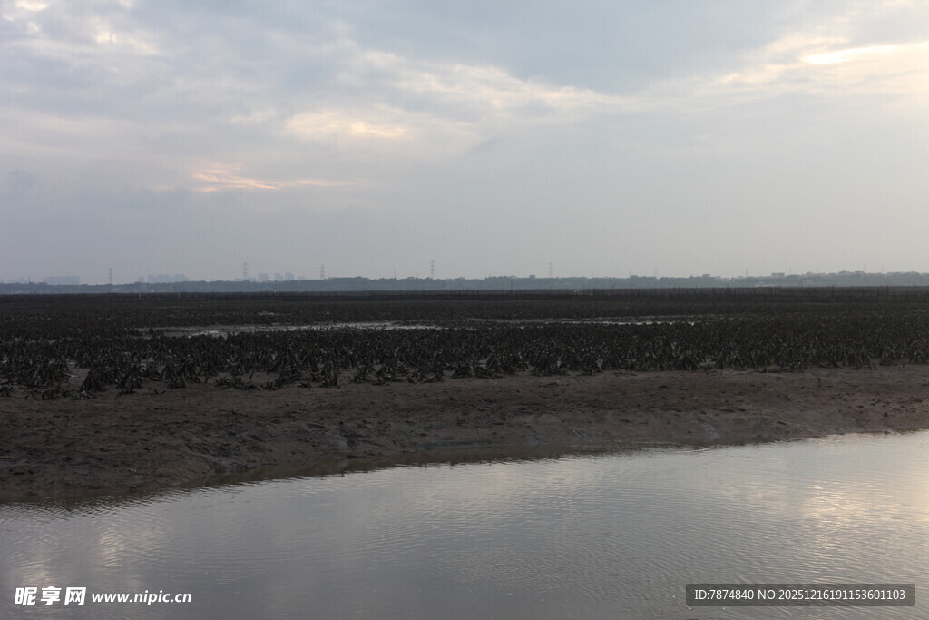 黄昏下的宁静水边景色