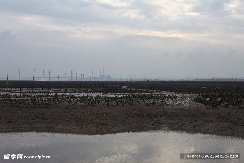 湿地风光 水面映着天际