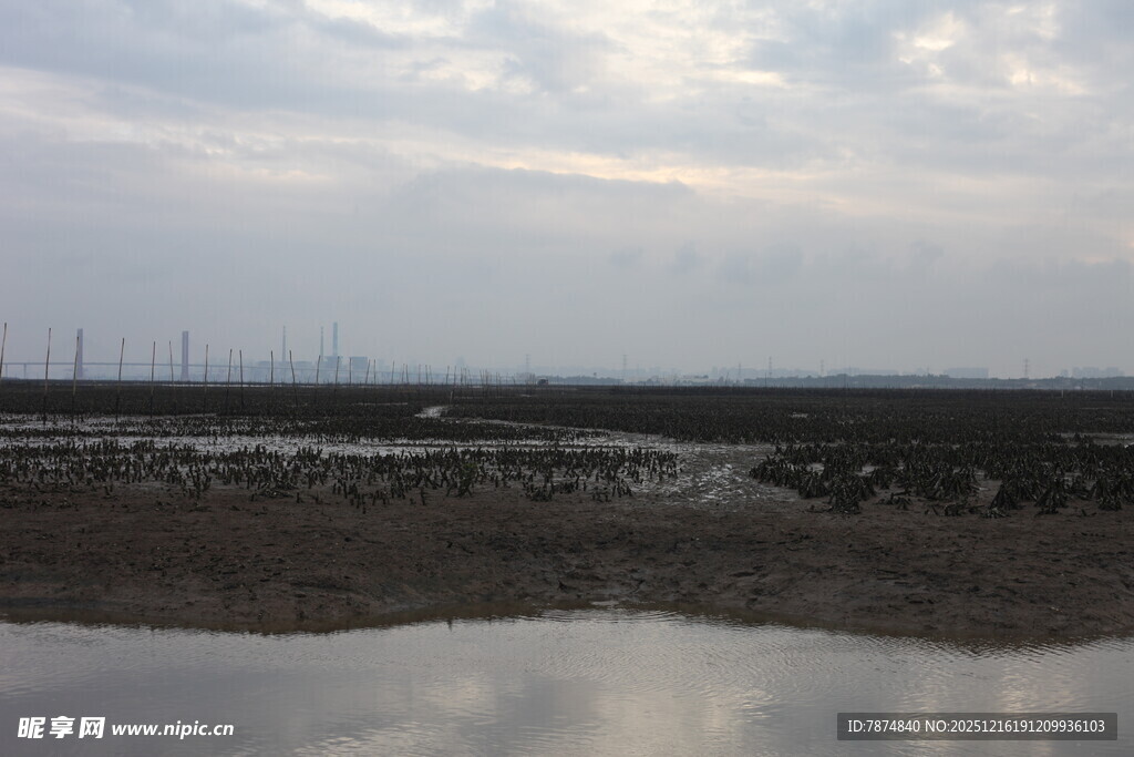 黄昏下的湿地景观