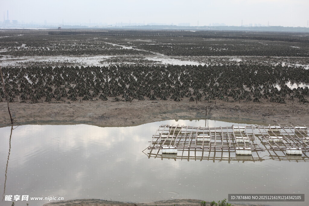 水上养殖场景俯瞰