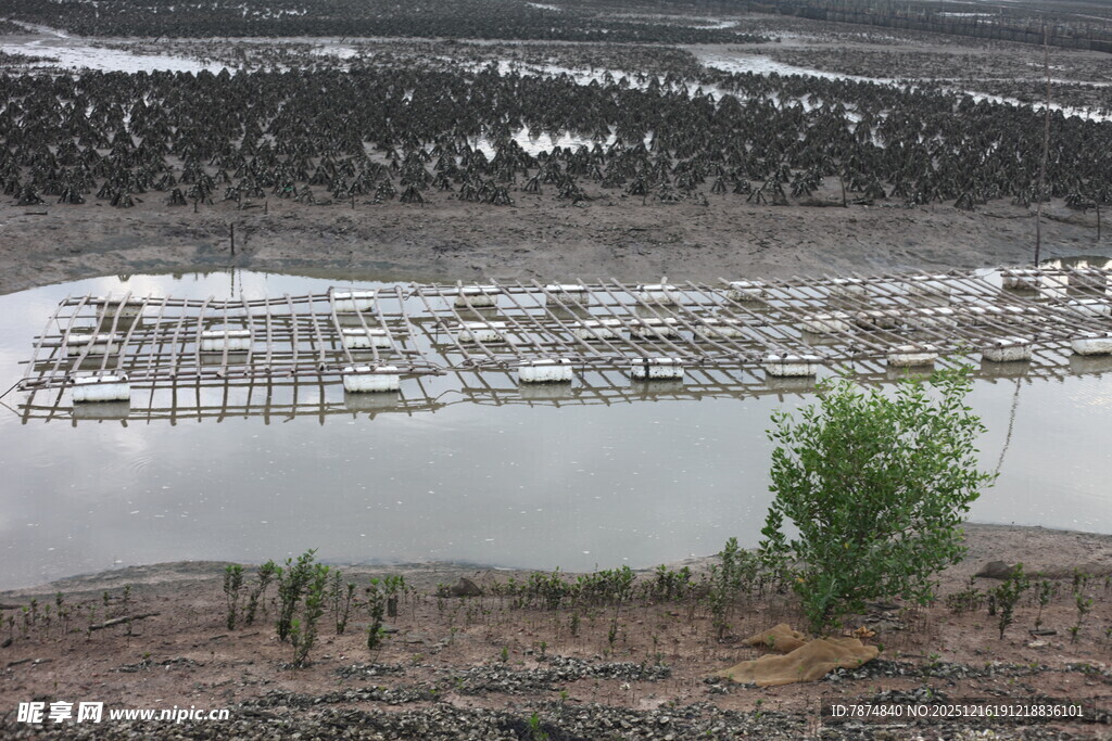 宁静湖畔的水上码头景观