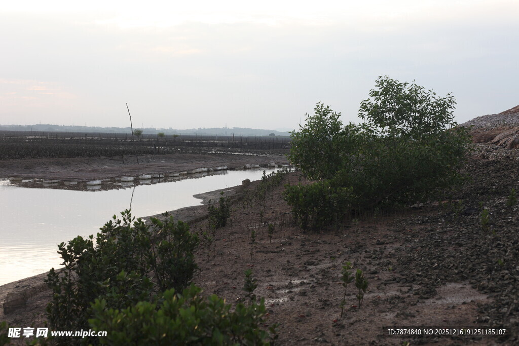 黄昏下的河岸与绿植景观
