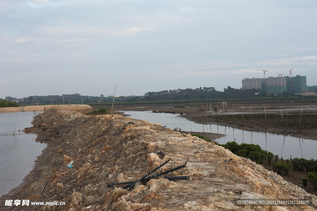 河岸堤坝景观