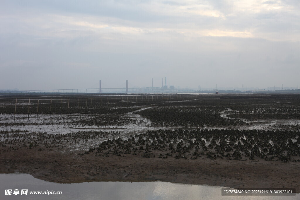 湿地风光 水域与远处风车