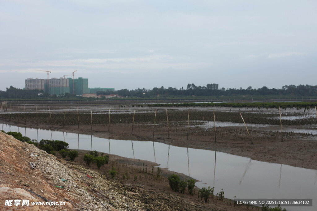 湿地景观 水域与围栏景象