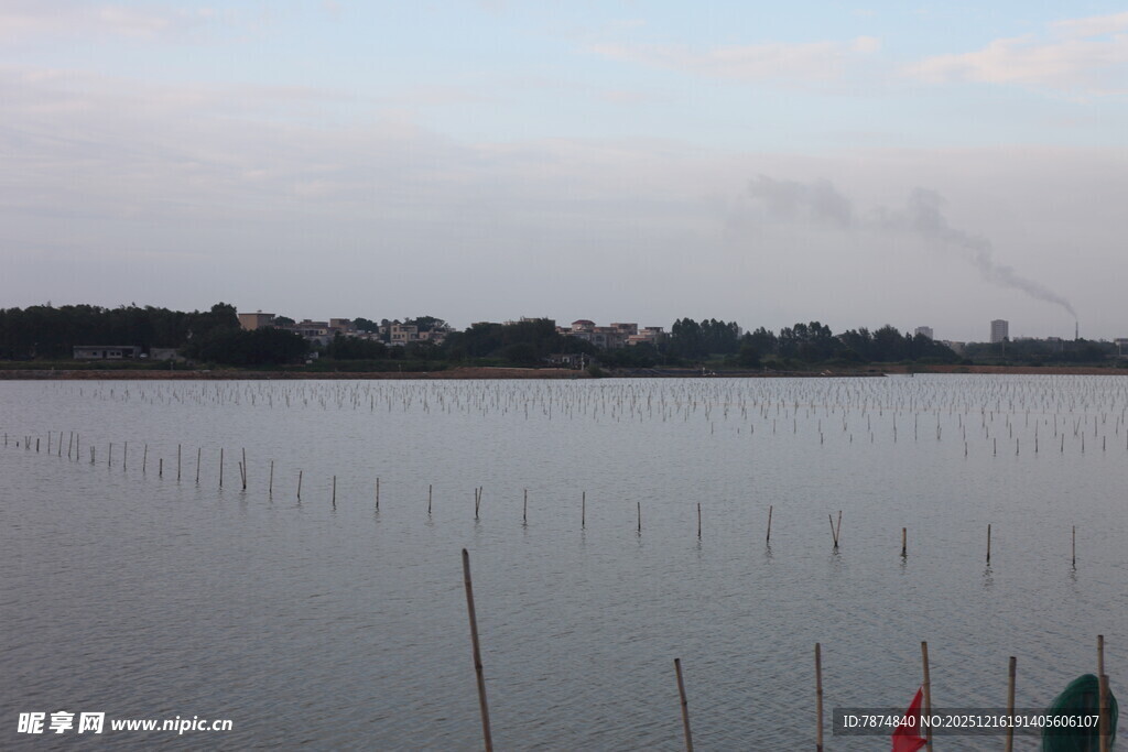 宁静水域旁的围栏景观