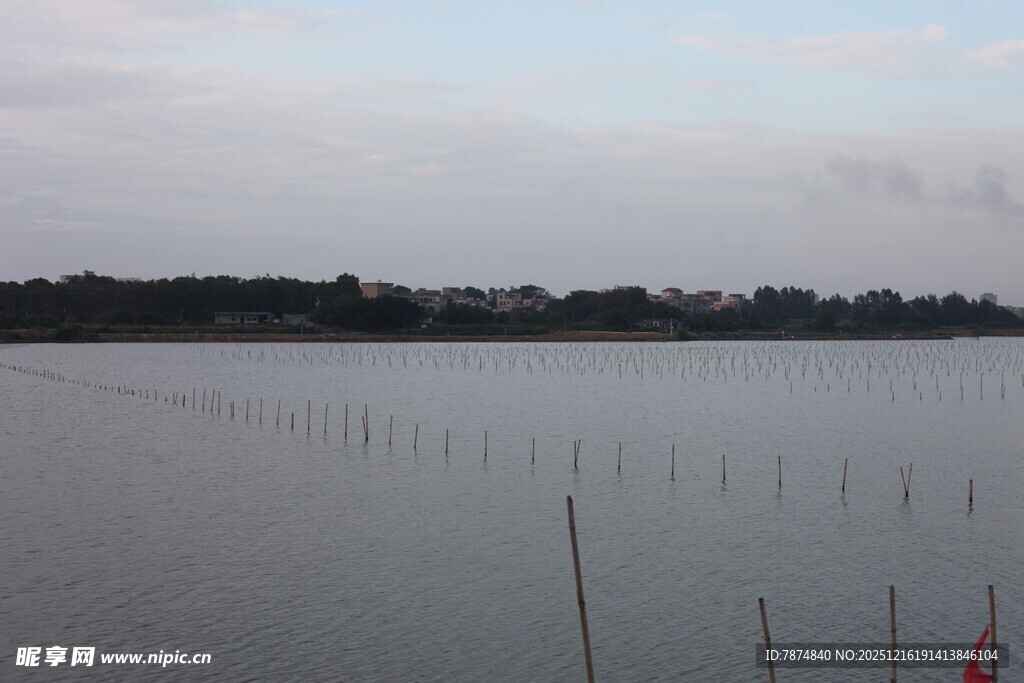 水域旁的林立杆状物景观