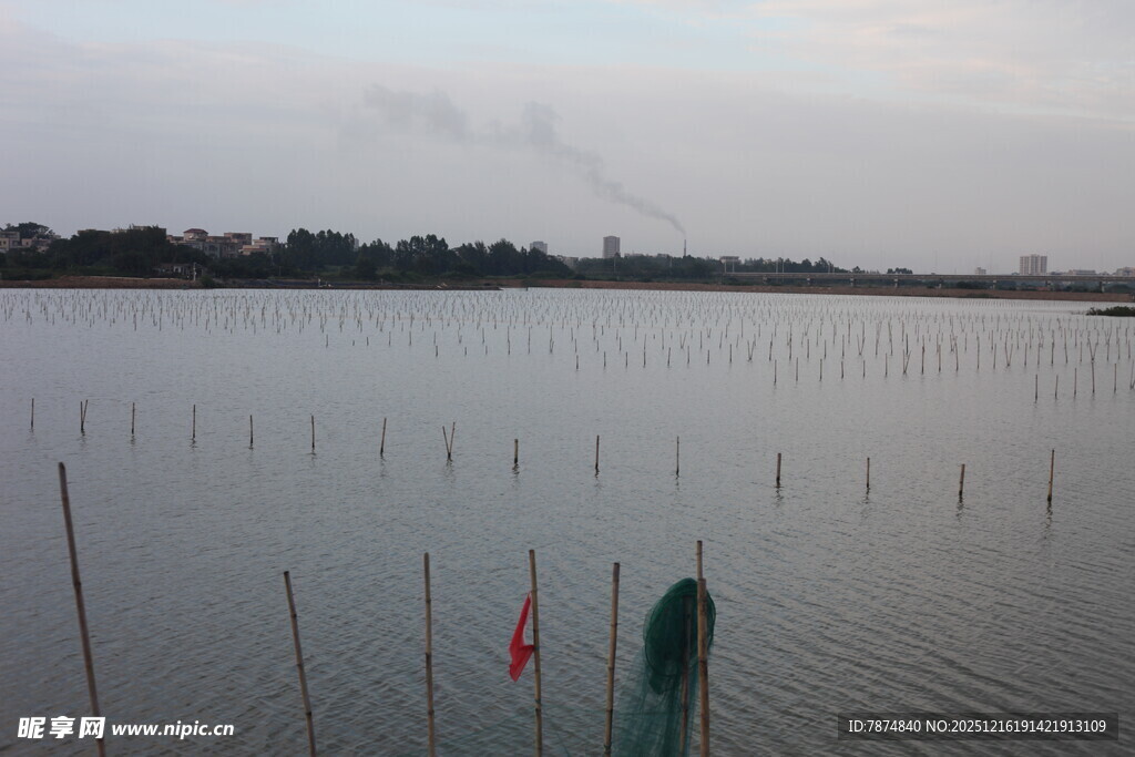 湖畔插杆景象