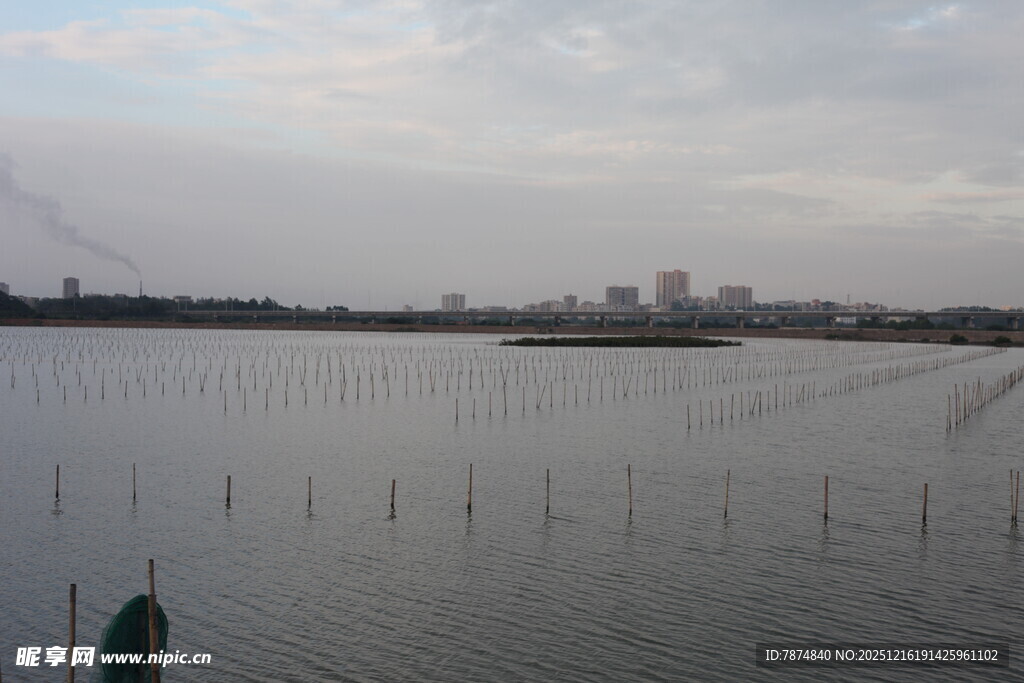湖畔远景水面与城市天际线