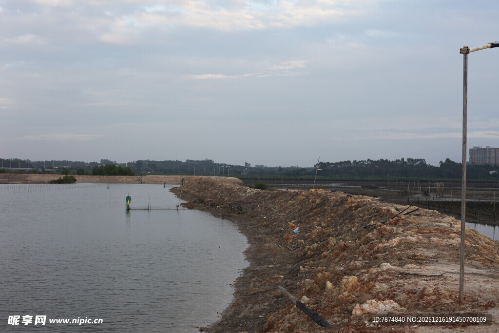 湛江生蚝养殖区
