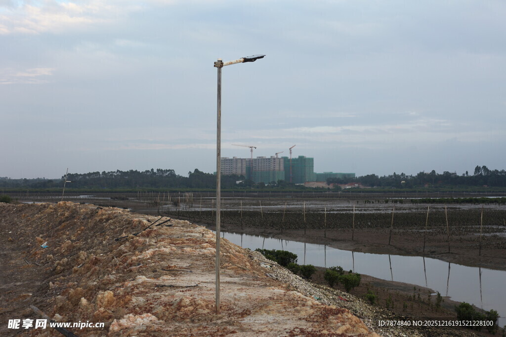 田野旁的路灯与水域景观