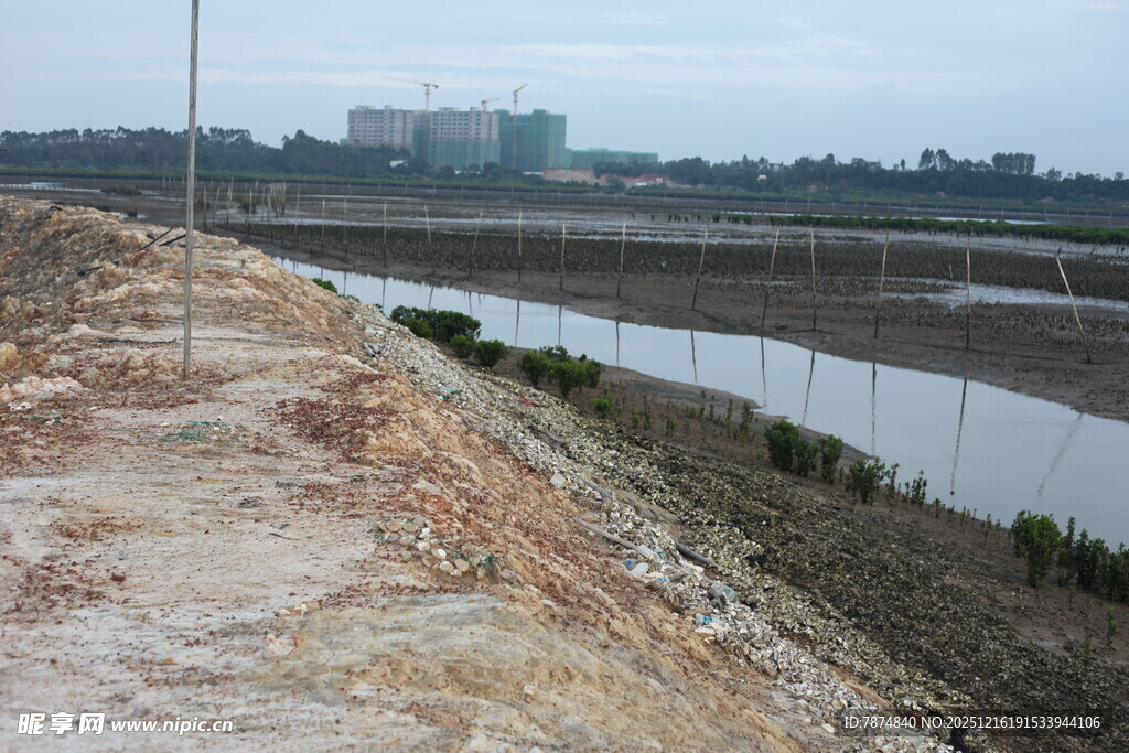 农田旁的水域与施工场景
