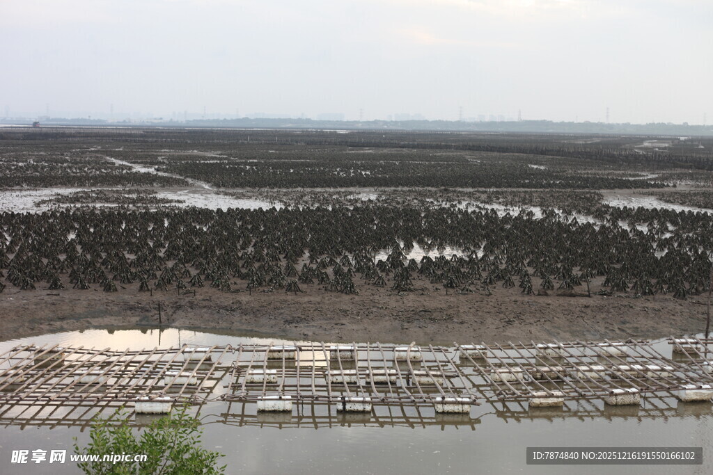 海岸边的船只与茂密植被