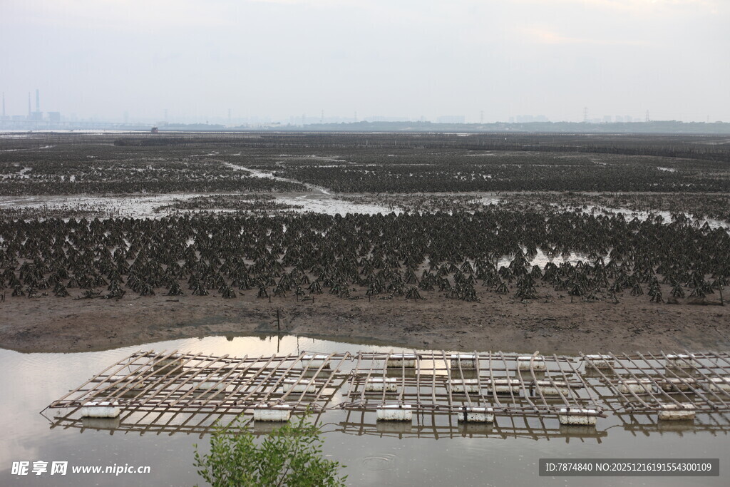 海上渔排景观