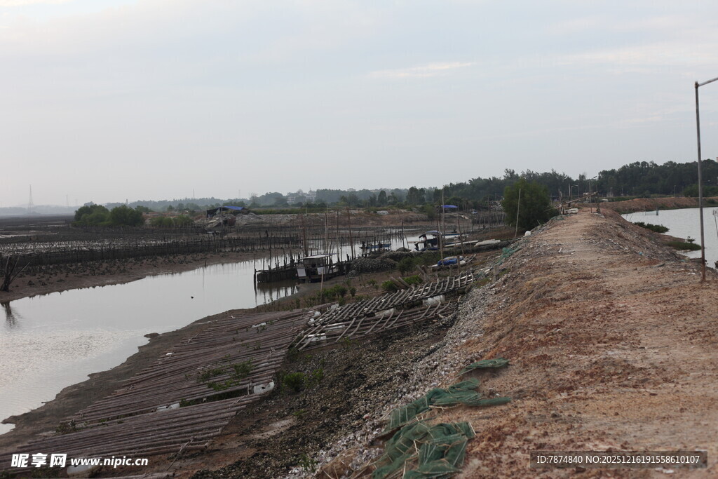湛江生蚝养殖区