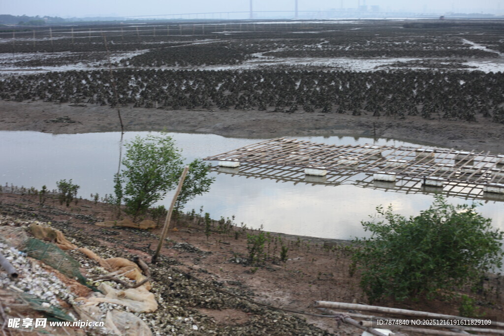 干旱荒芜的河岸景观