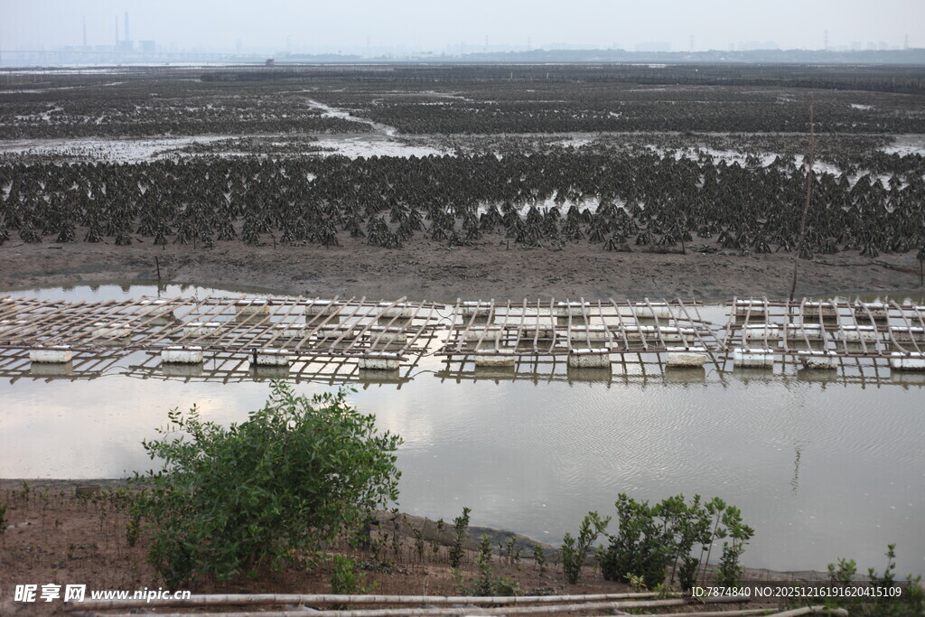 湖畔船只停泊风景图