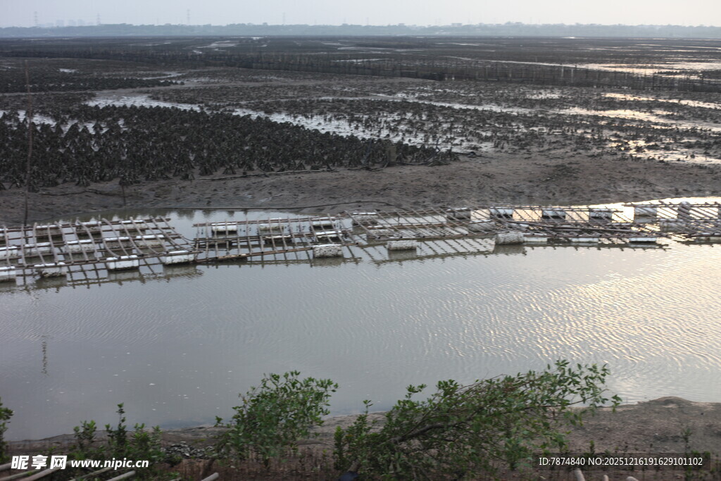俯瞰宁静的港湾与停泊船只