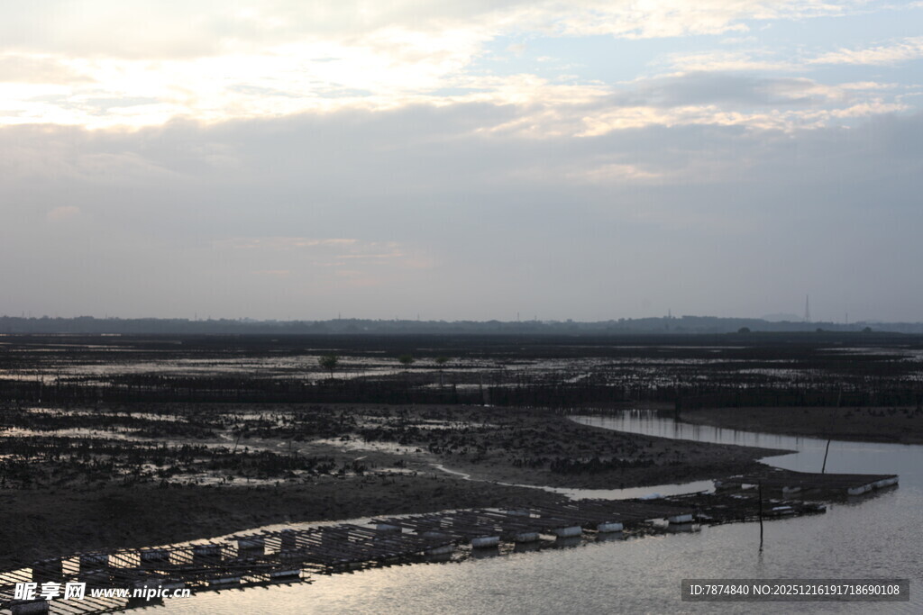 城市天际线与河流景观