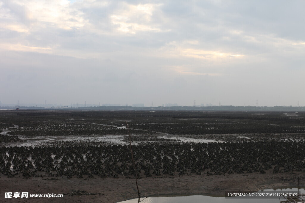 黄昏下的广袤田野景观
