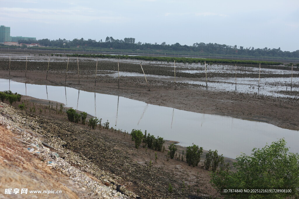 湿地养殖场景