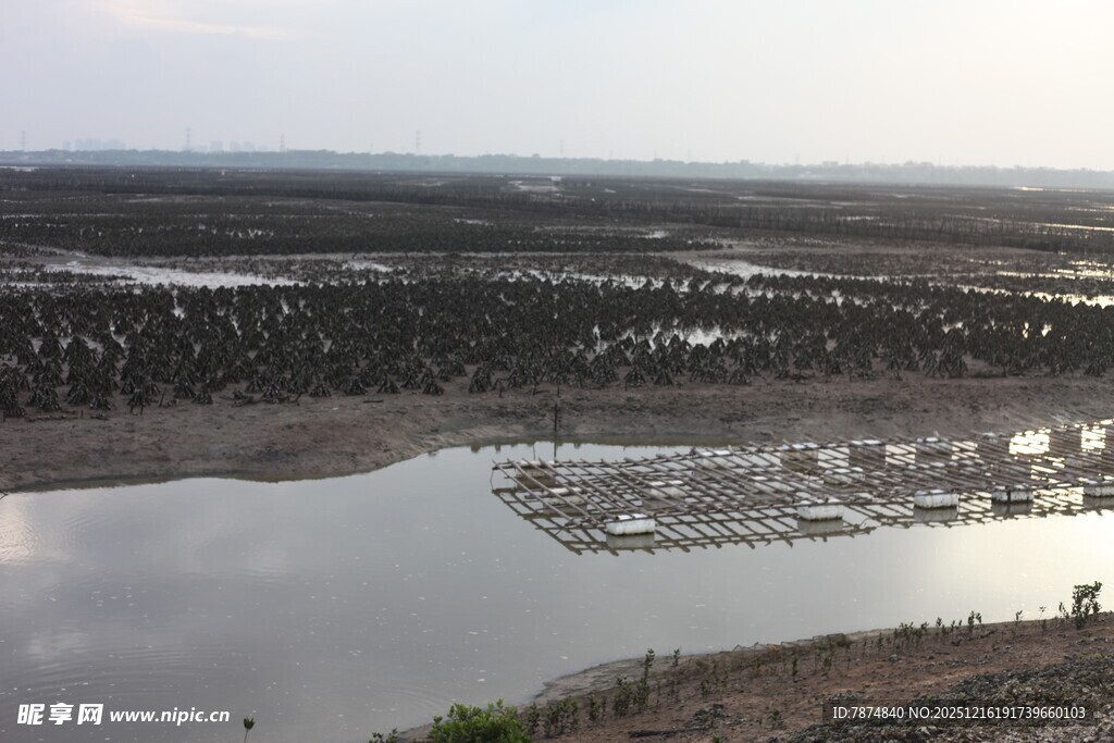 干旱地区的干涸水域景观