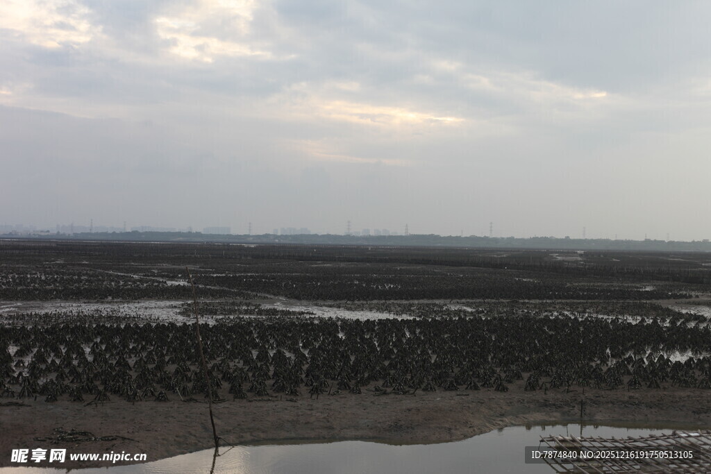 湿地风光自然景色迷人