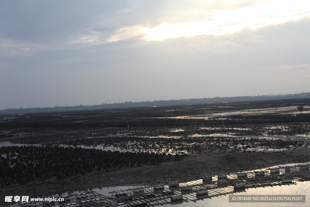 俯瞰广袤大地的壮丽景观