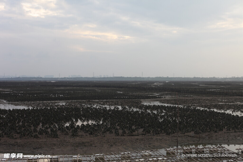 冬日广袤原野景观