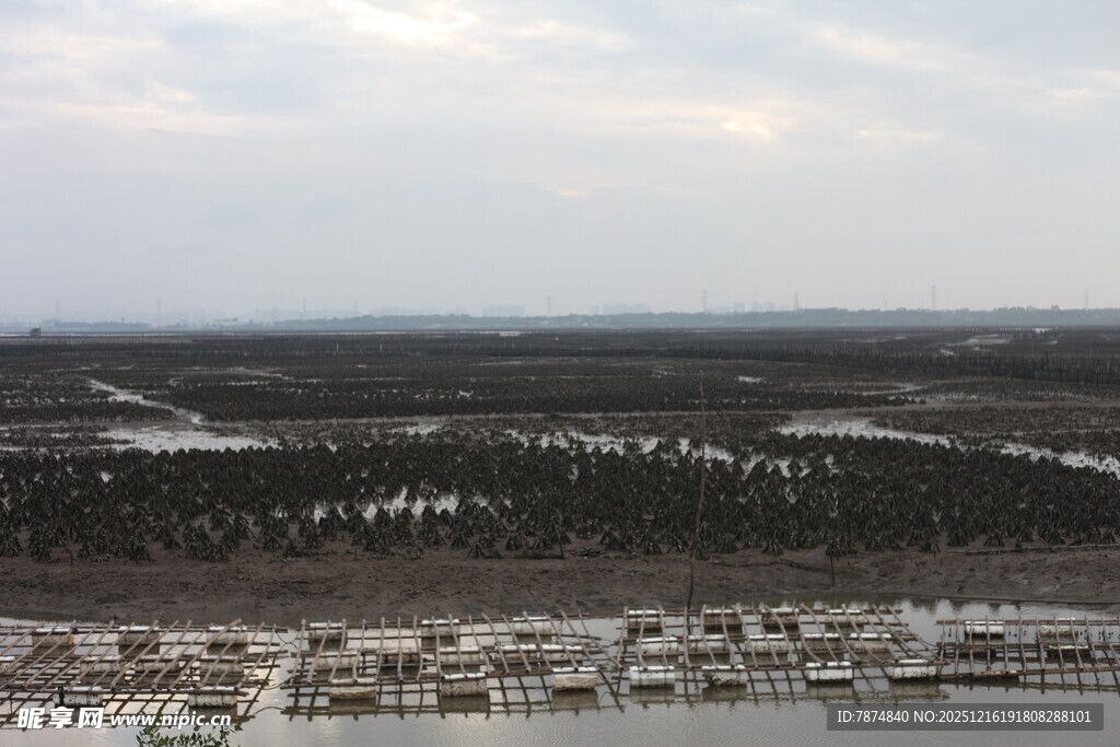 俯瞰冬日城郊景观