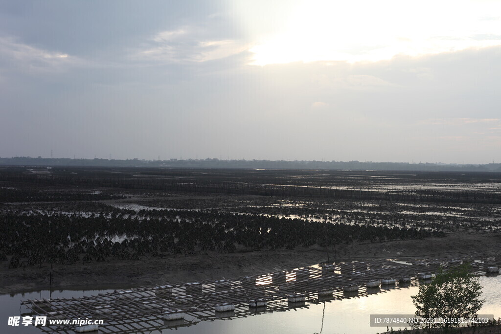 日落时分的广袤田野景观