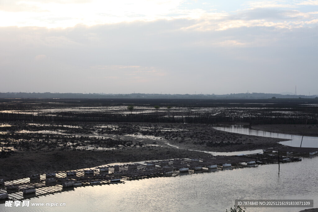 河畔城市景观俯瞰