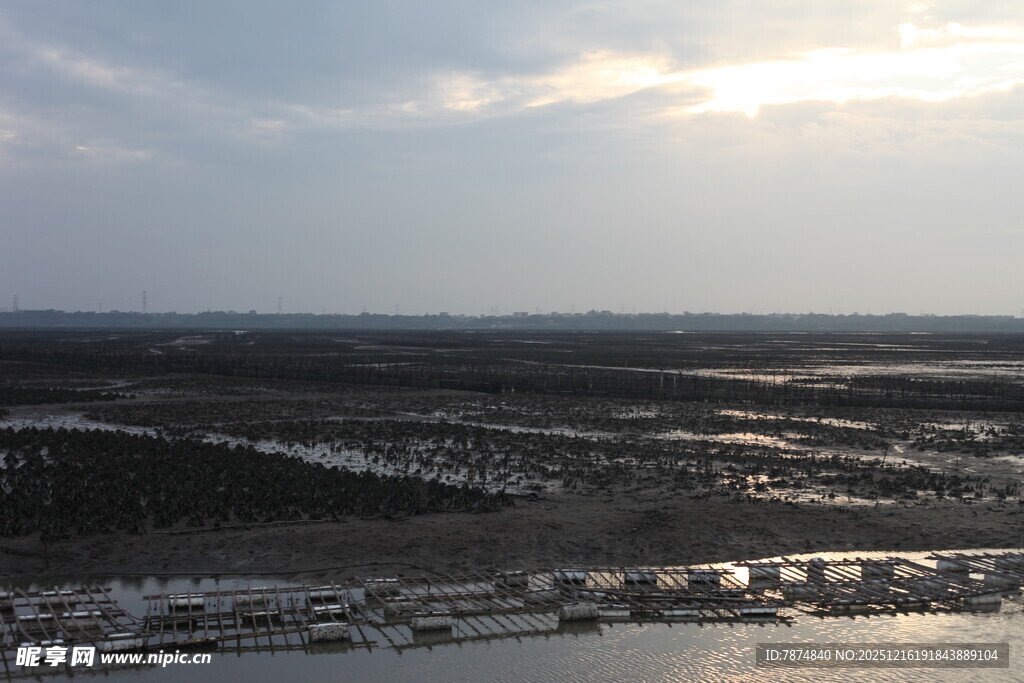 黄昏下的广袤湿地景观