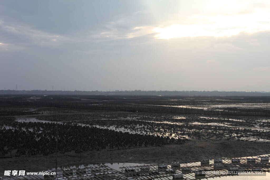 俯瞰城市与开阔田野景观