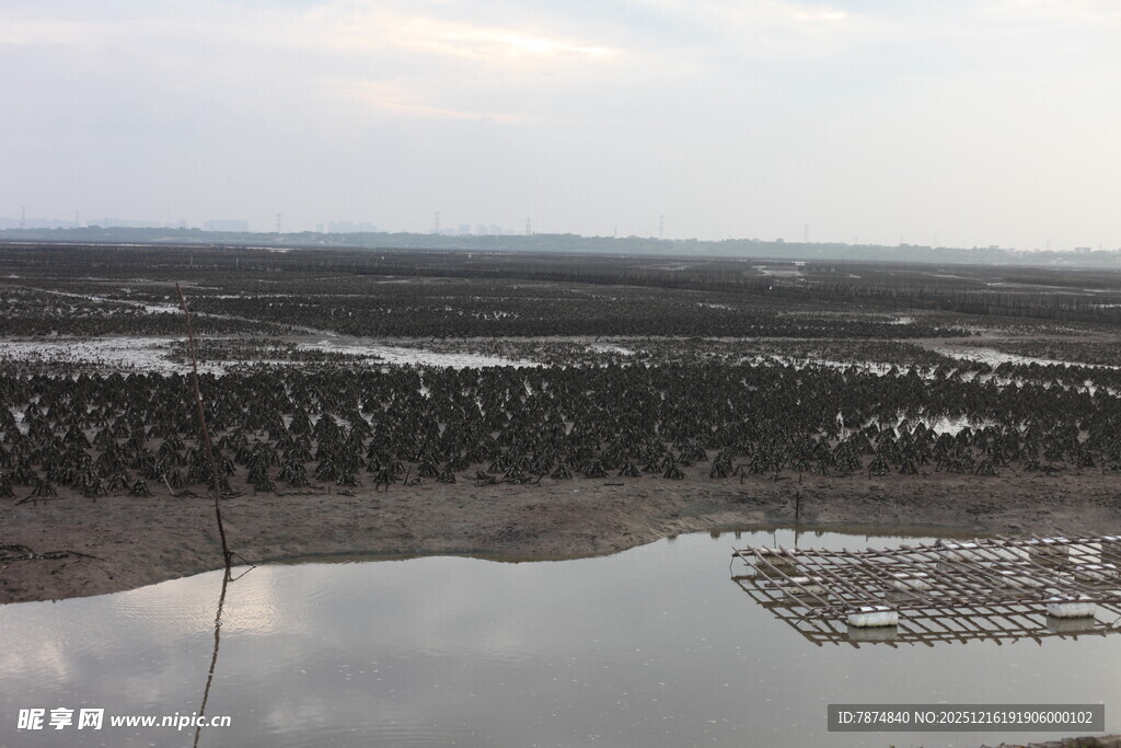 俯瞰广袤水域与岸边景致