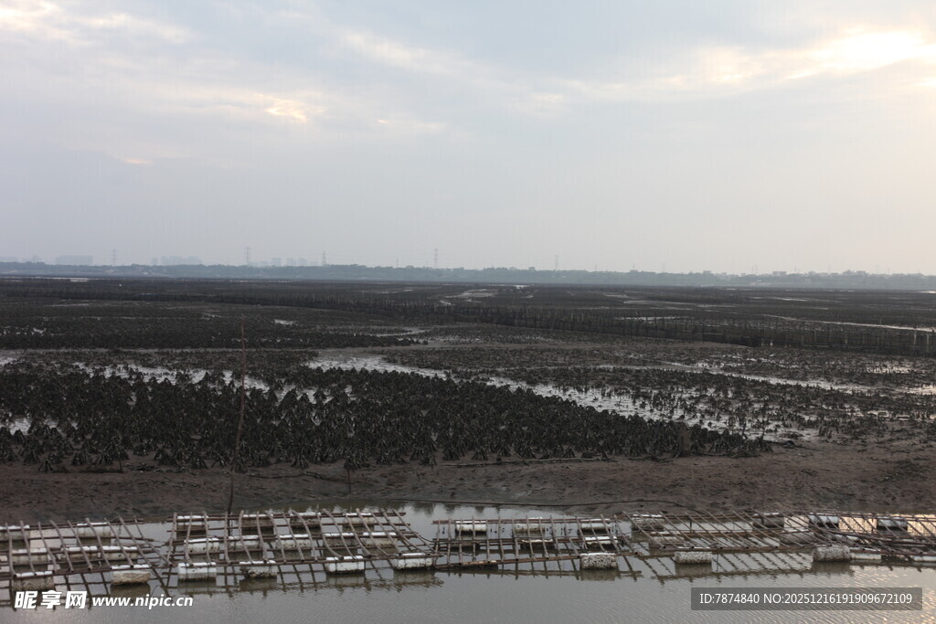 俯瞰广袤湿地景观