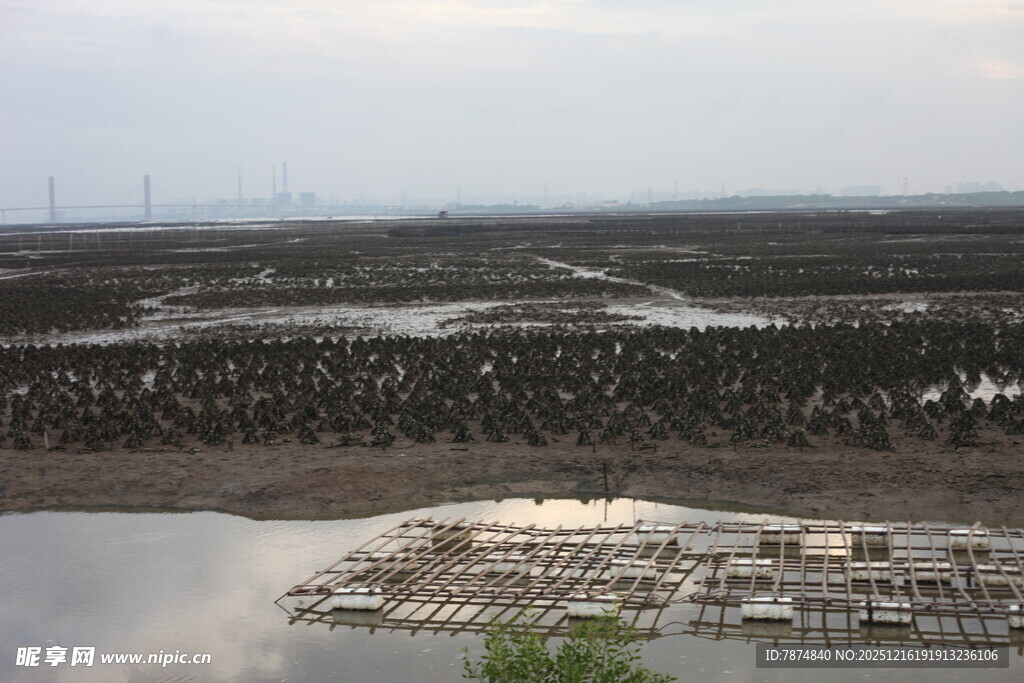 俯瞰水边码头与周边景观