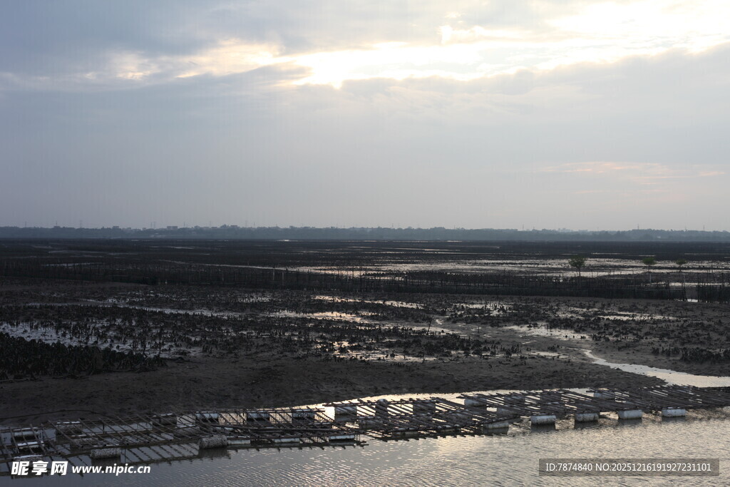黄昏下的湿地景观
