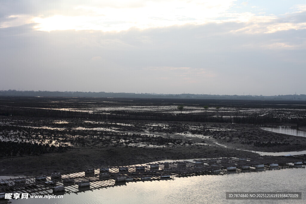 俯瞰水域旁的建筑景观